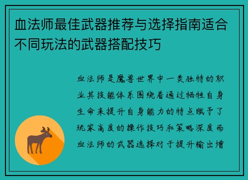 血法师最佳武器推荐与选择指南适合不同玩法的武器搭配技巧